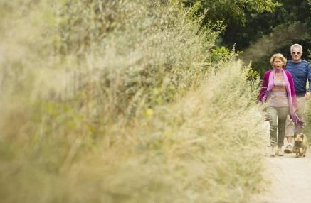 5b8ce2a2-8c98-f011-bd32-005056a8cce8_26EUI17_zwin