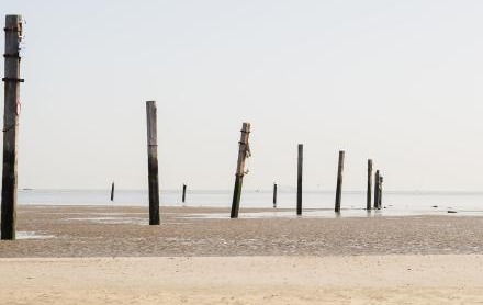 5d16d7fb-8a98-f011-bd32-005056a8cce8_26EUI16_Strandwandeling_Heist