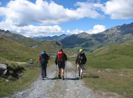 Berg(wandel)cursus