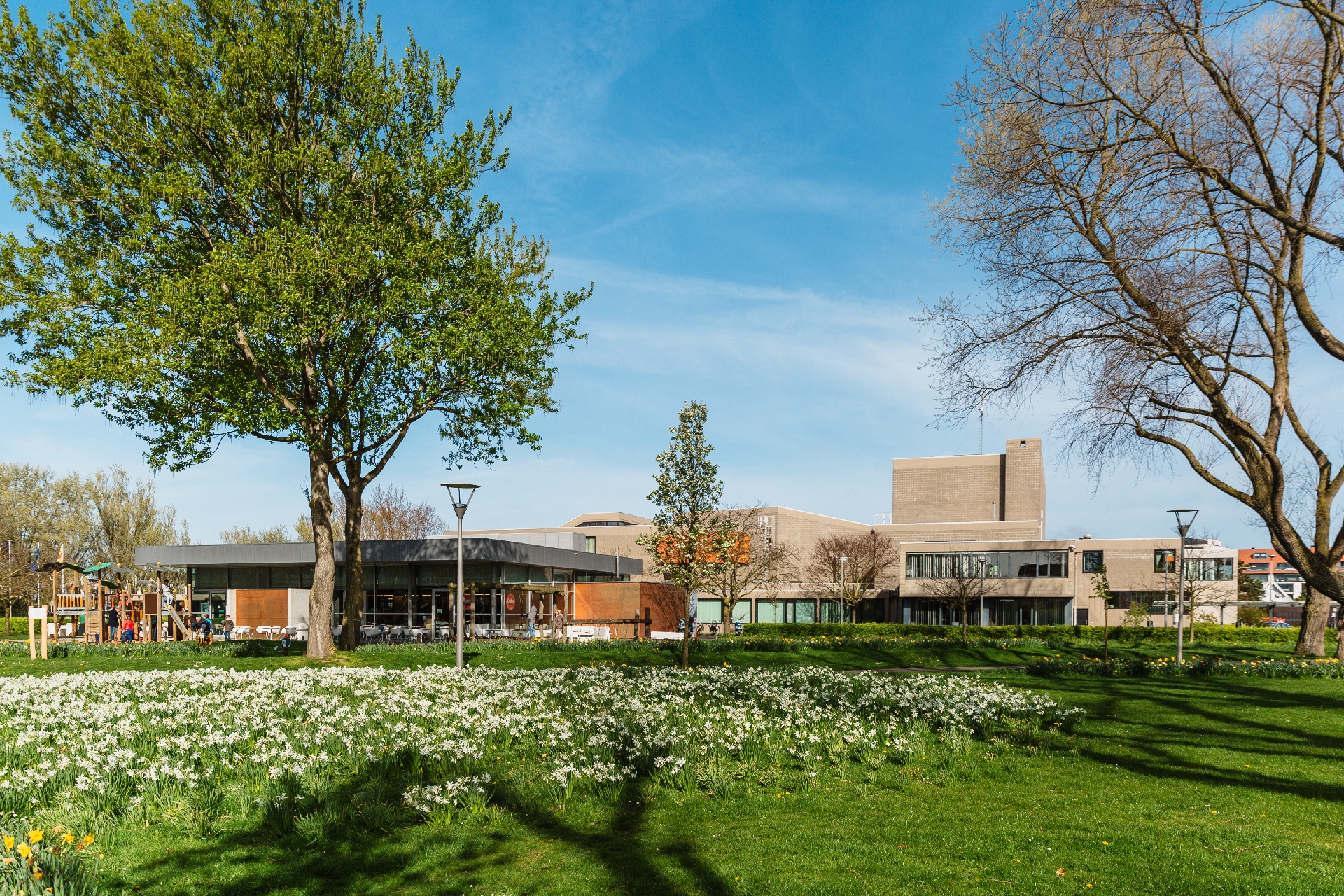 RS65254_KH_SCHARPOORD_IMG_0776-1-1