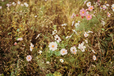 luisterwandeling (21)-1