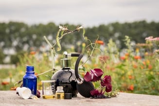 zelfnatuurlijkeparfummaken.ellisgijsen_web